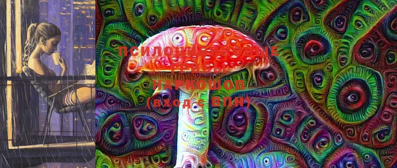 Псилоцибиновые грибы Magic Shrooms  дарнет шоп  Тверь 